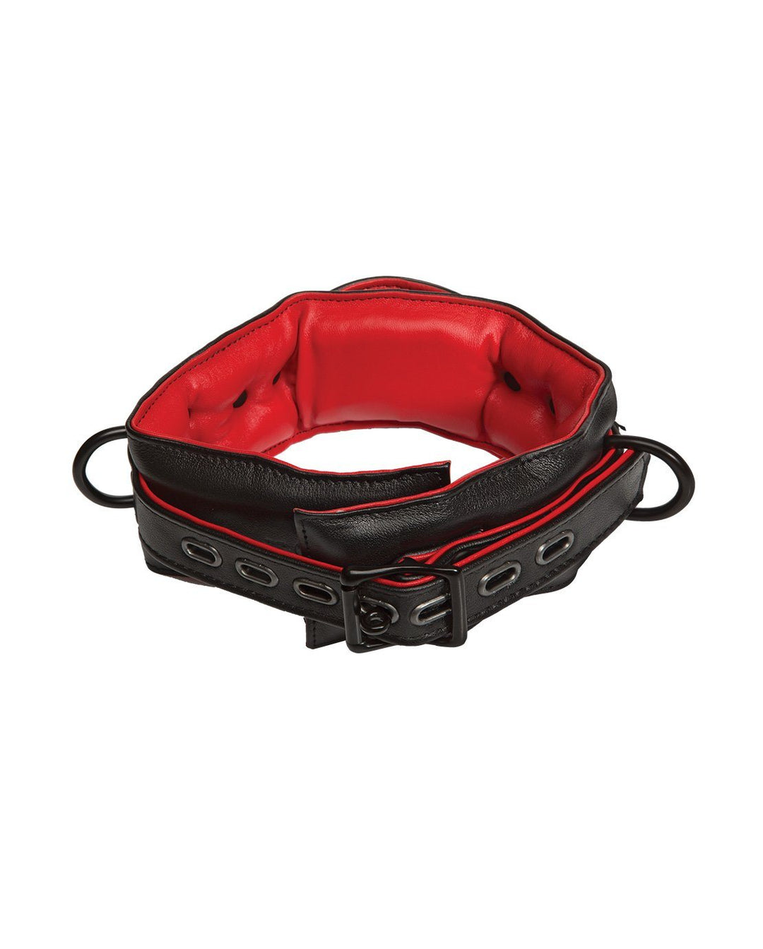 Kink - Leather - Handler's Collar