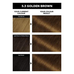 Garnier OLIA Bold Permanent Hair Colour - 5.3 Golden Brown