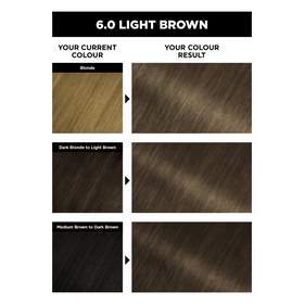 Garnier OLIA Bold Permanent Hair Colour - 6.0 Light Brown