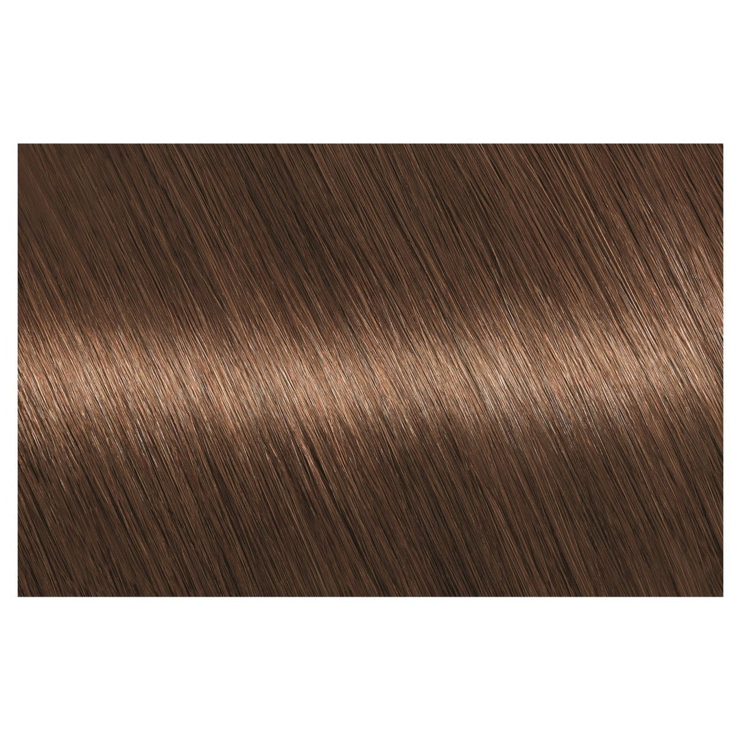 Garnier Nutrisse Nourishing Permanent Hair Colour - 6 Acorn
