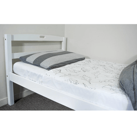 Brolly Sheets King Single Size Bed Pad - Dinosaur