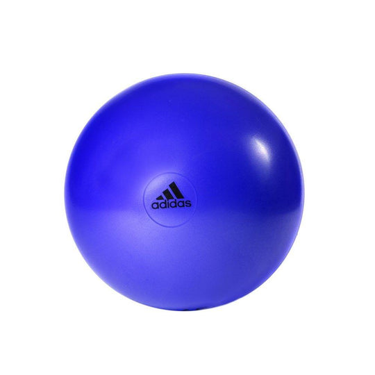 adidas 55cm Gym Ball