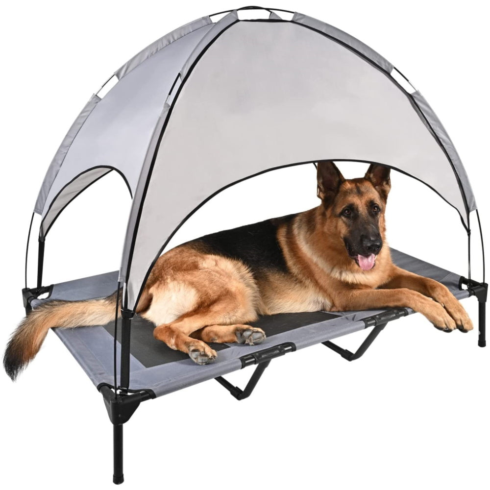 Elevated Outdoor Dog Bed with Canopy