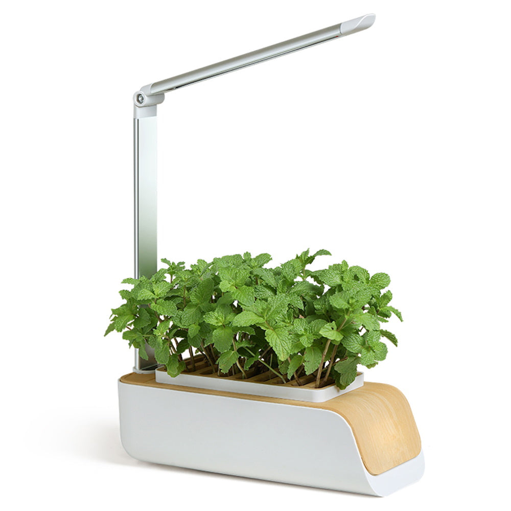 Indoor Hydroponic Planter Kit Smart with Grow Light