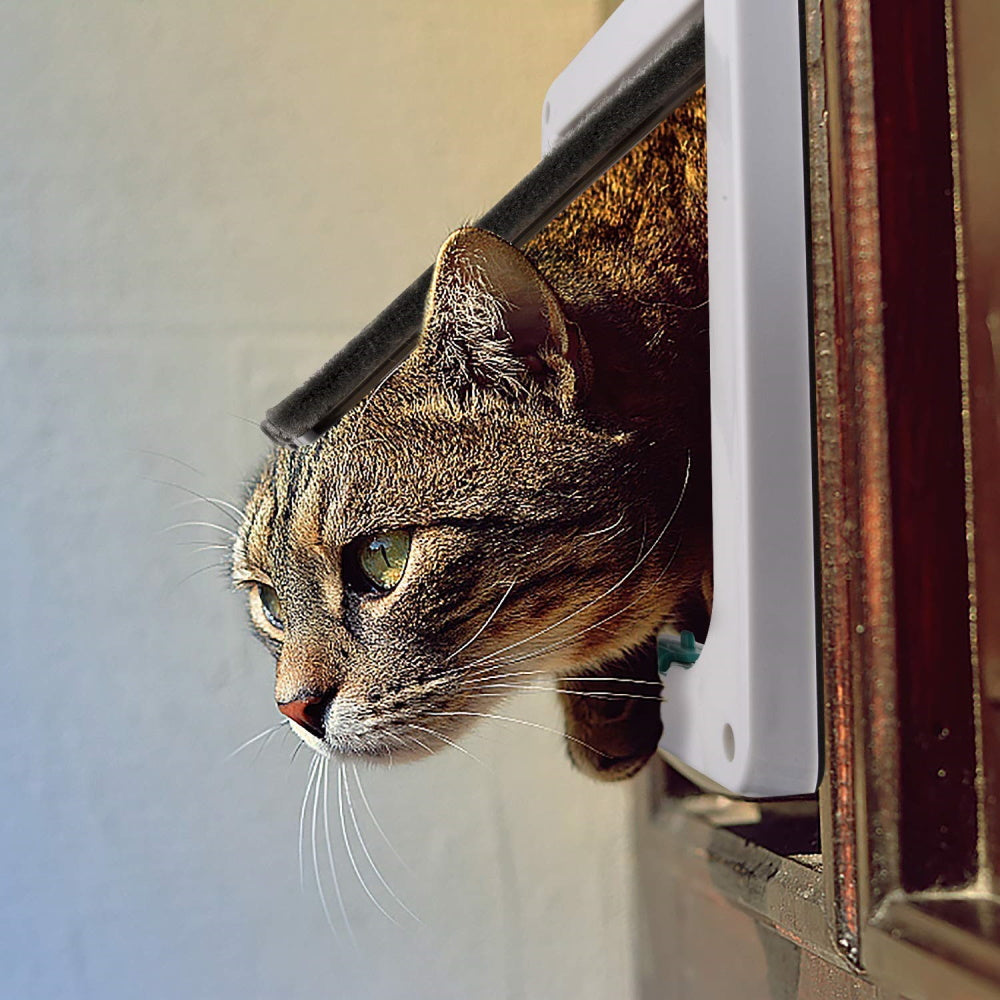 Cat Flap Door Magnetic Pet Door with 4 Way Lock