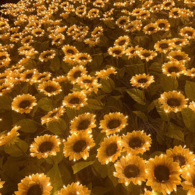 3-Head Sunflower Solar Outdoor Garden Lights
