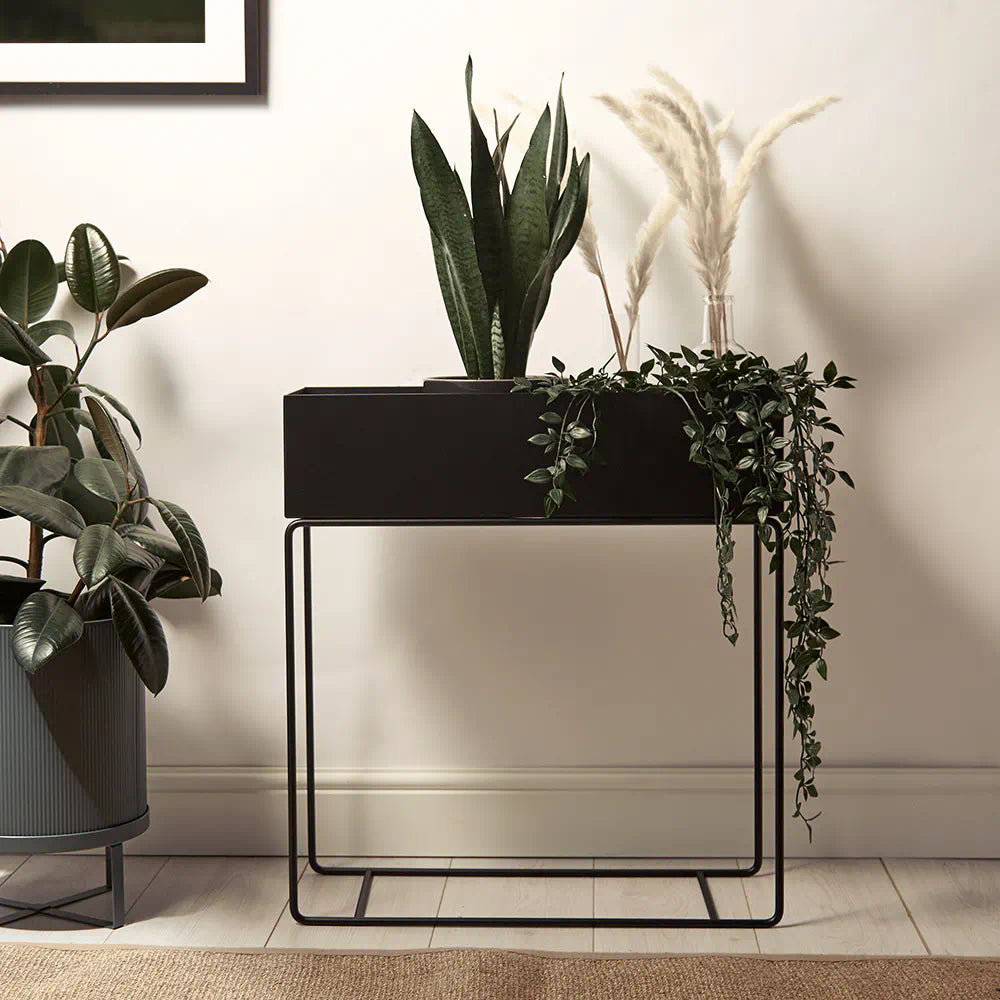 Indoor Metal Rectangle Tray Plant Pot Stand - Black