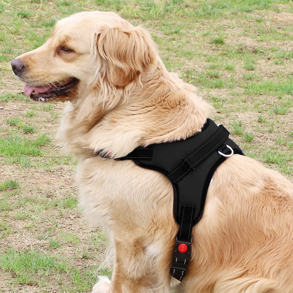 Adjustable Safety Dog Harness Vest with Handle