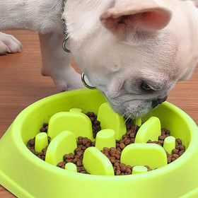 Dog Feeder Slow Eating Pet Bowl