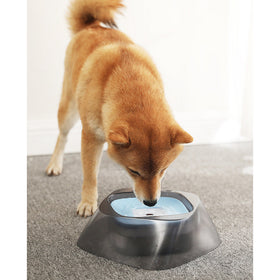 Anti-Spill Dog/Cat Water Slow Drinking Bowl 1400mL