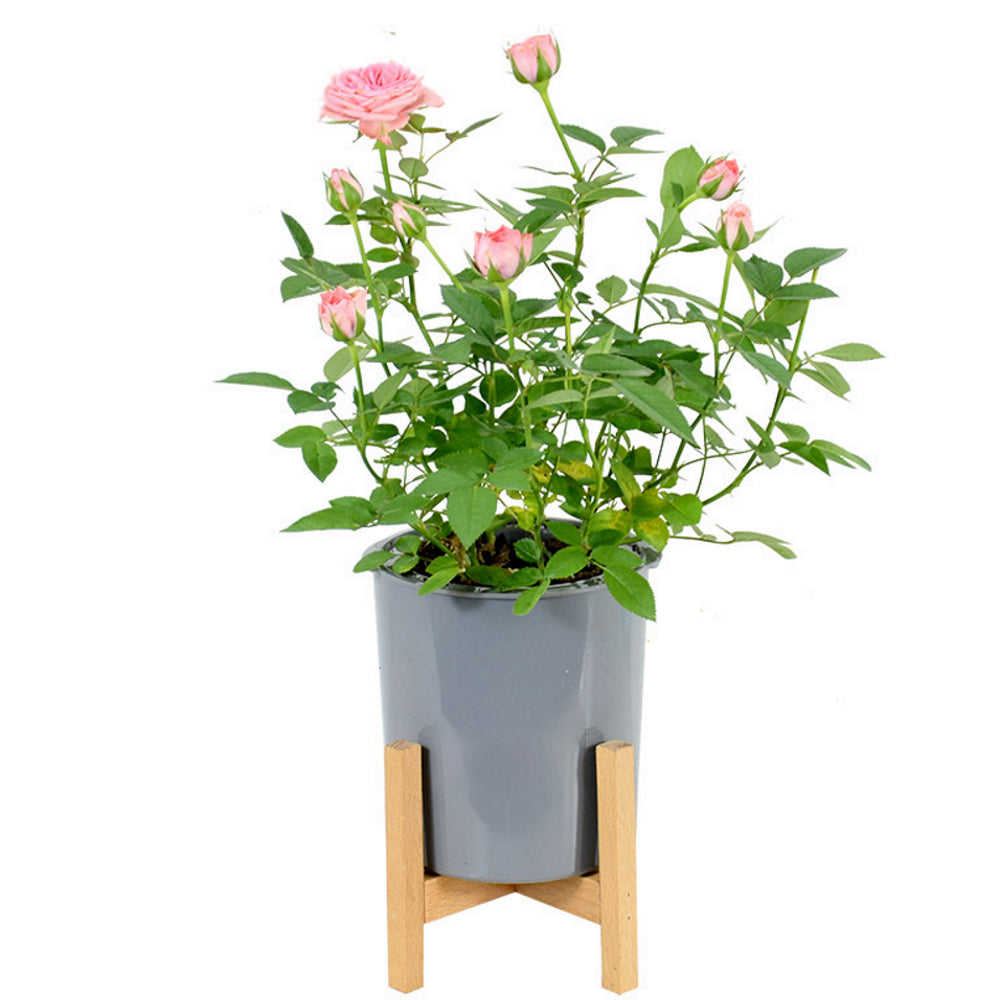 Modern Gray Plastic Plant Pot Stand with Wood Rack