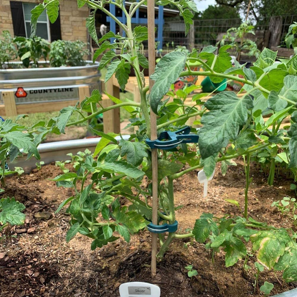 40pk Reusable Garden Plant Support Clips Vines