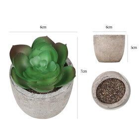 6pc Artificial Potted Succulent Plants