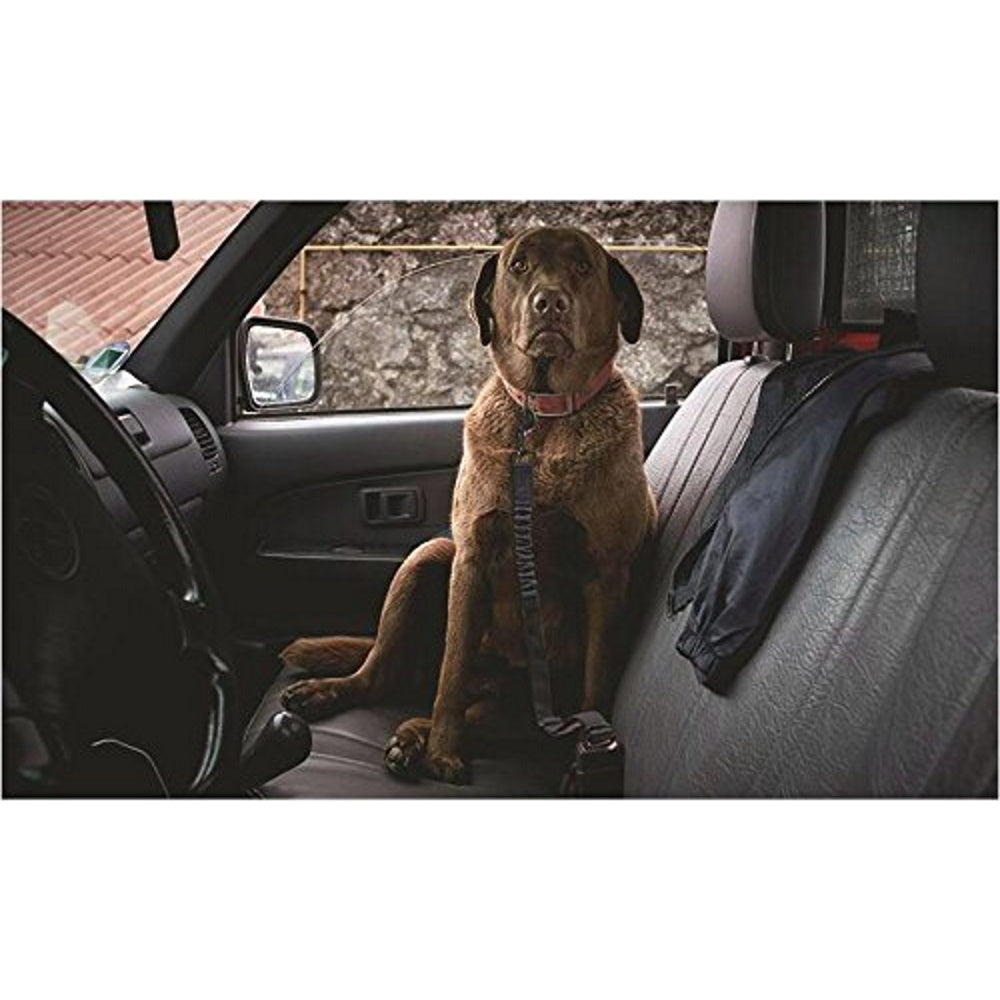 Adjustable Pet Car Seat Belt with Elastic Nylon Bungee Buffer