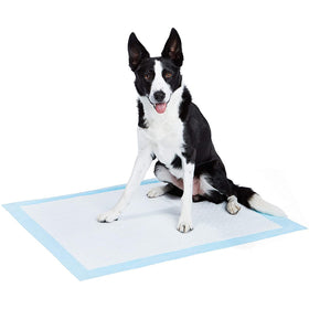 50pc Dog and Puppy Potty Training Pads