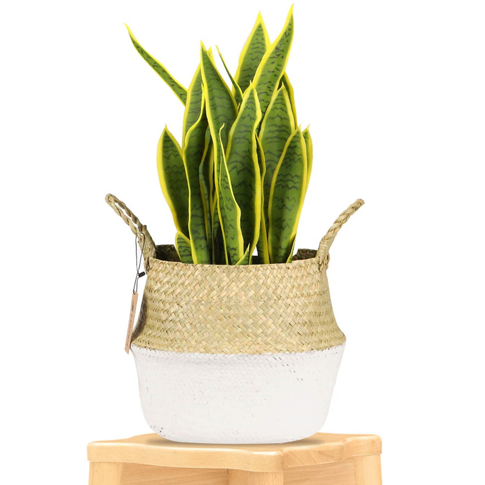 Woven Seagrass Flower Pot - XL
