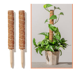 4pk Coconut Liner Moss Rod for Climbing Plants 50cm