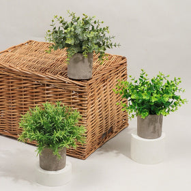 3pc Set Mini Potted Artificial Plastic Green Plants