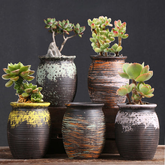 5pc Abstract Ceramic Succulent/Cactus Planter - High Pots