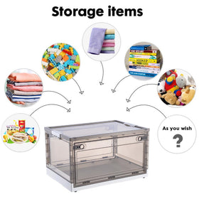 55L Closet's Foldable/Stackable Storage Box
