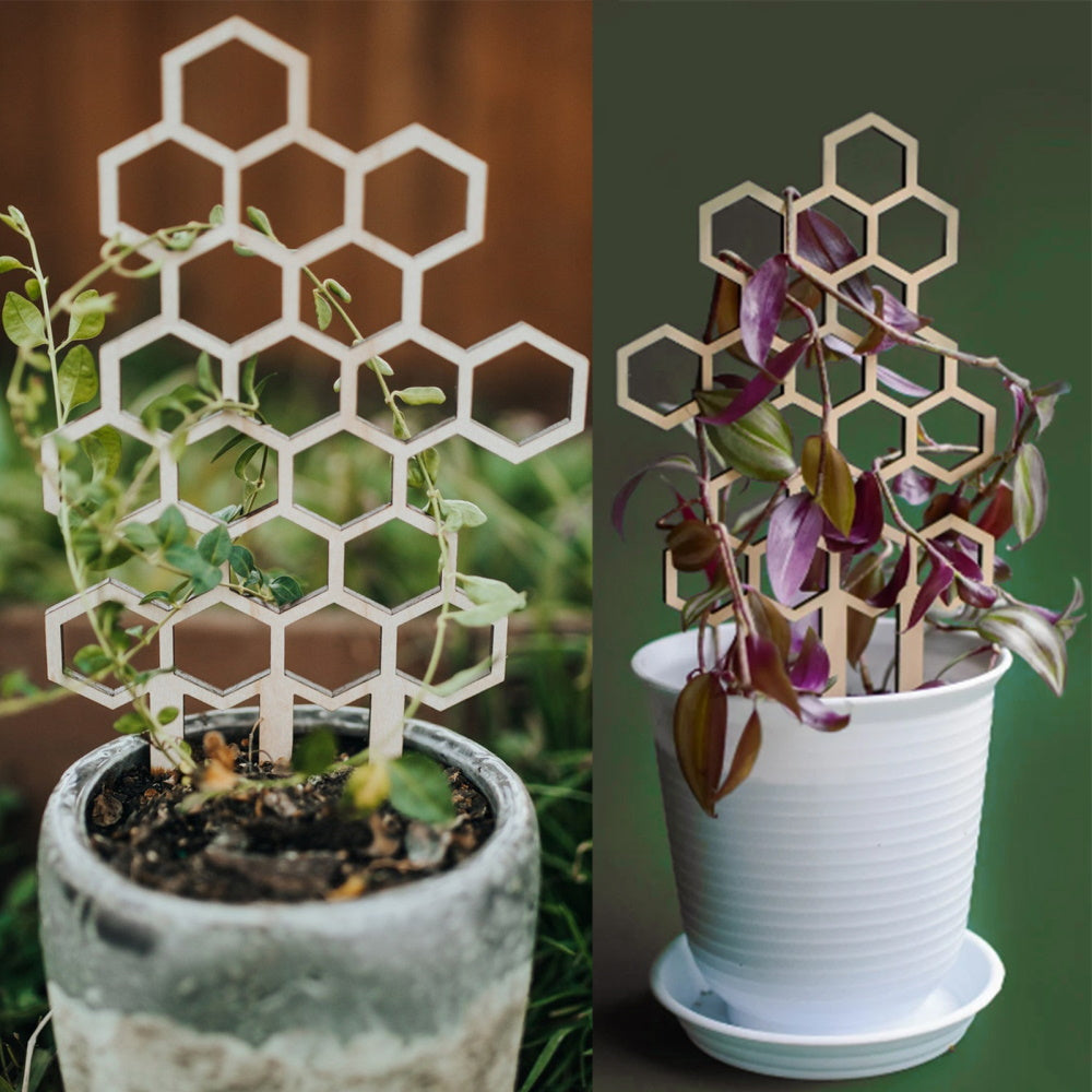 3pk Beehive Trellis for Potted Plants