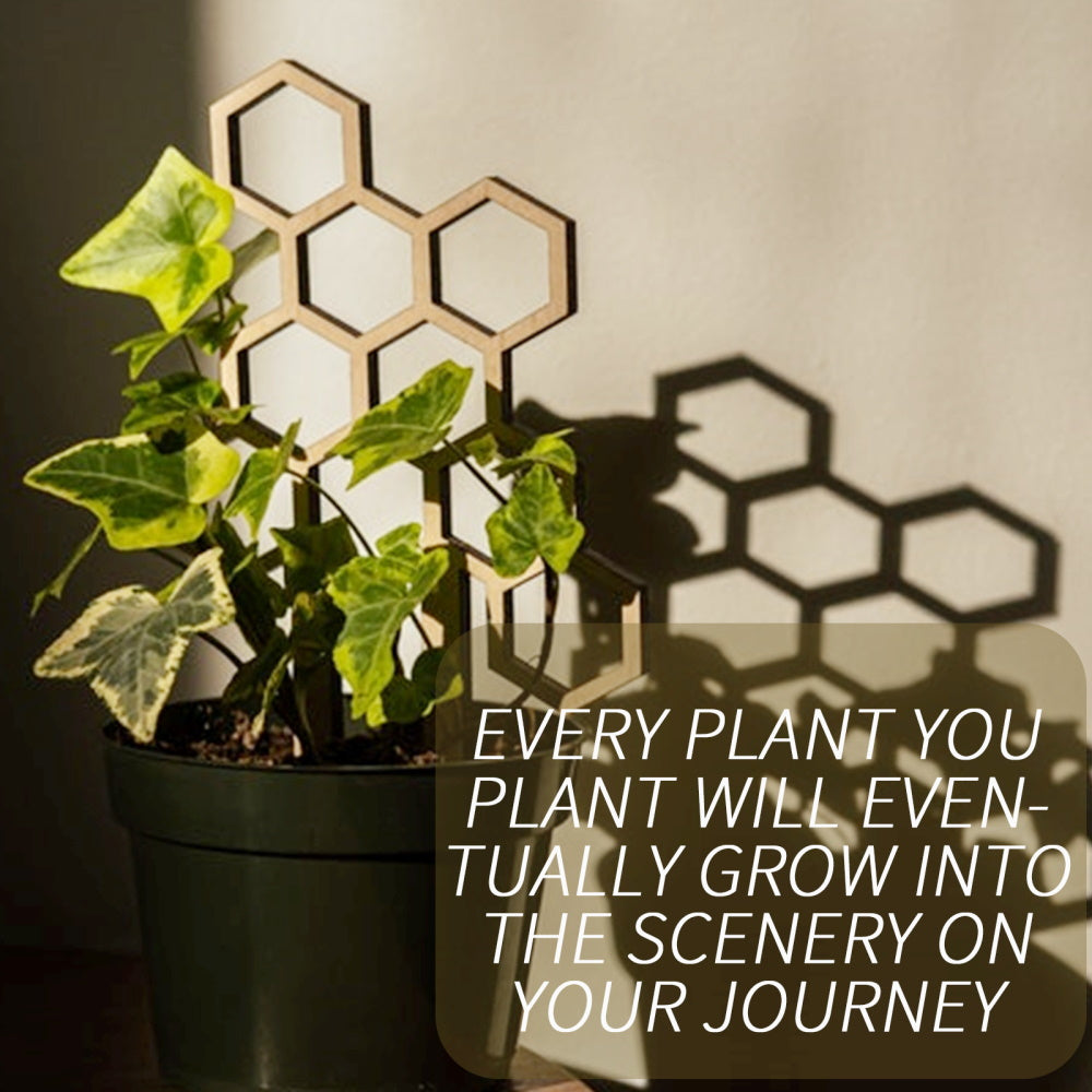 3pk Beehive Trellis for Potted Plants Brands