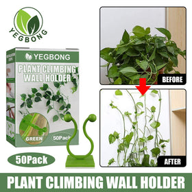 50pc Wall Mounted Clips for Climbing Plants