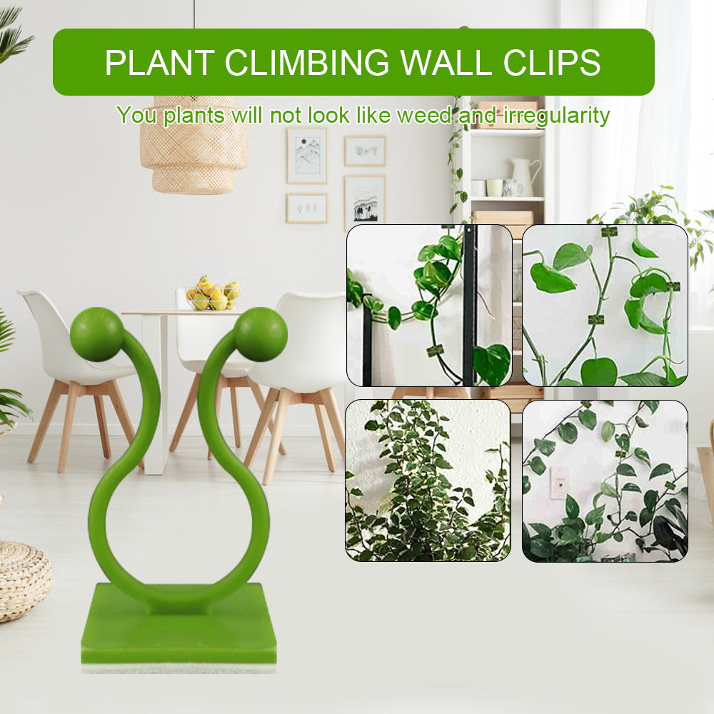 50pc Wall Mounted Clips for Climbing Plants