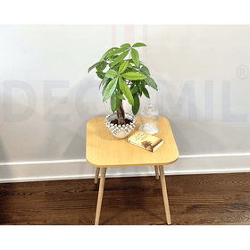 Square Wooden Coffee Table 50x50 cm - Wood