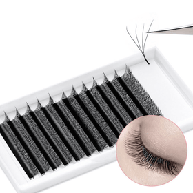 W Lashes Extensions D Curl Mixed Tray