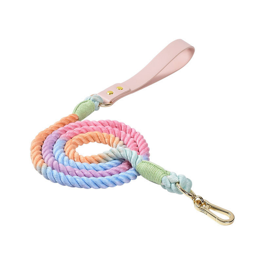 150cm Soft Braided Colourful Dog Leash - Macaron