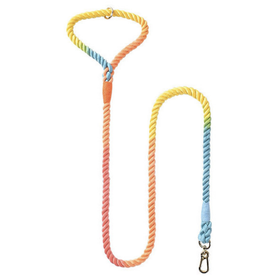 150cm Soft Braided Colourful Dog Leash - Rainbow