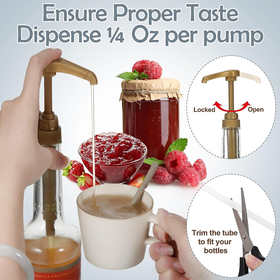 4pk Syrup Pump Dispenser for 750mL Bottles - Gold