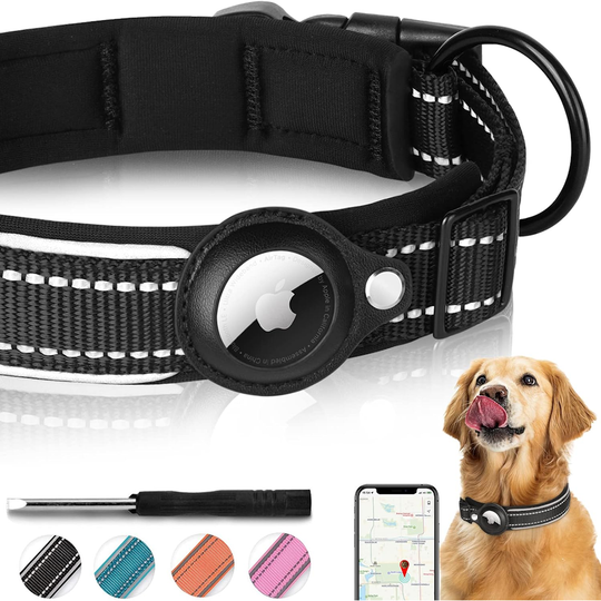 Dog Collar with AirTag Holder Case - Large