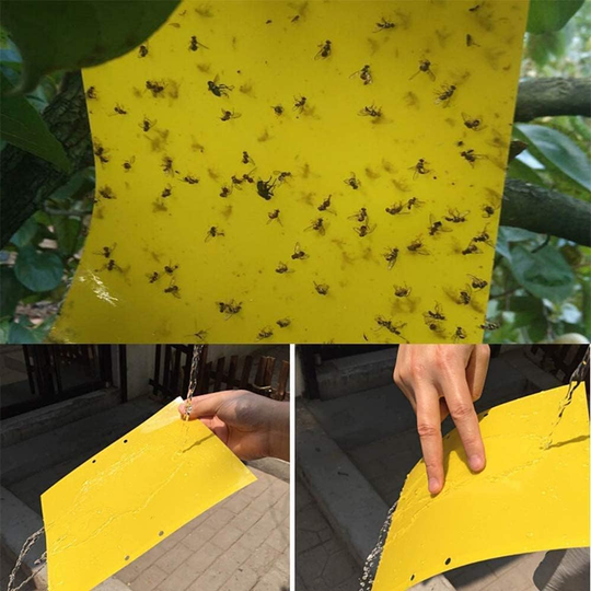 20 pcs. Yellow Sticky Fly Traps