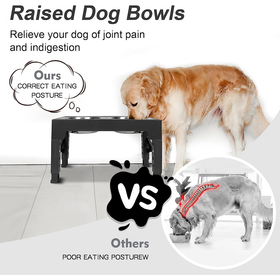 Dog Bowl Stand Table with Bowls