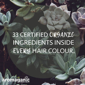 Aromaganic Organic Hair Colour - 1.0N Black (Natural)