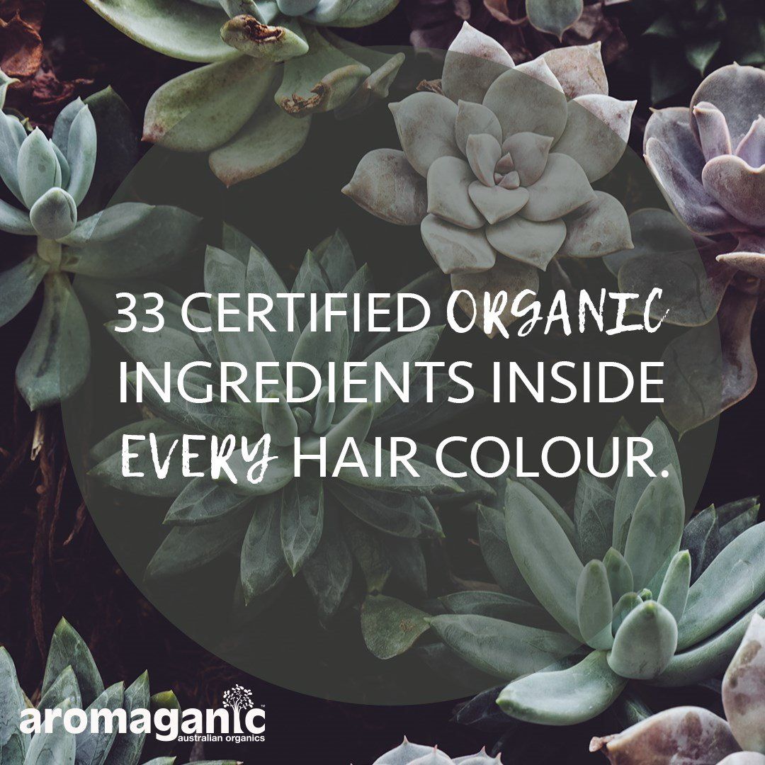 Aromaganic Organic Hair Colour - 4.02 Rich Cocoa Chestnut
